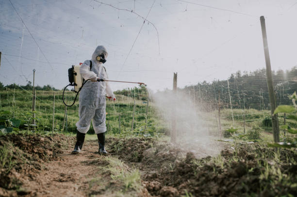 Best Best Pest Control Companies  in Lake Andes, SD