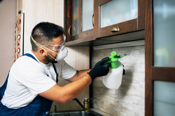 Pest Prevention Services in Lake Andes, SD