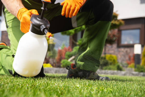 Trusted Lake Andes, SD Pest Control Experts