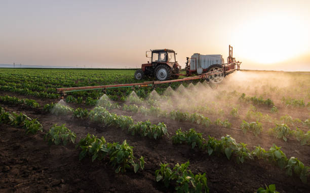 Best Pest Removal Services  in Lake Andes, SD
