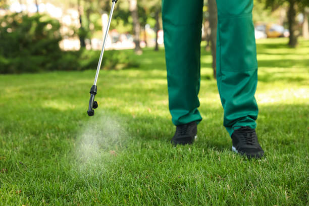 Best Local Pest Control Services  in Lake Andes, SD