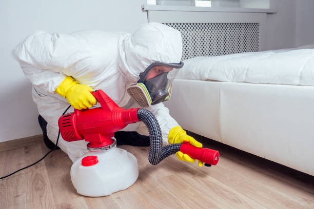 Best Flea Control Services  in Lake Andes, SD