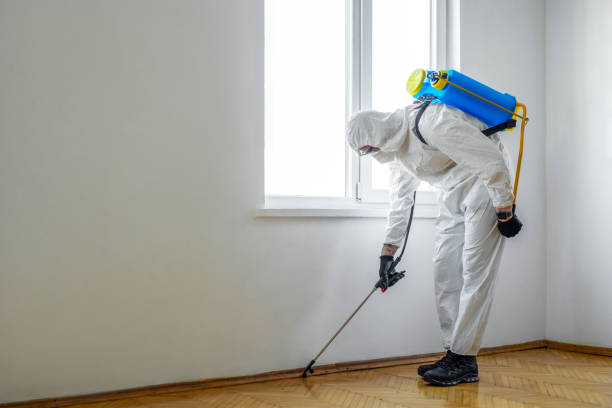 Best Termite Control Services  in Lake Andes, SD