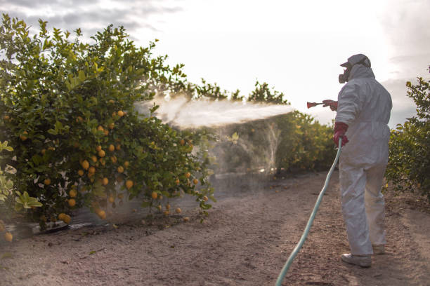 Spider Control Near Me in Lake Andes, SD