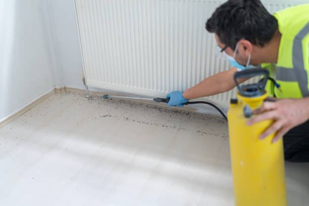 Best Residential Pest Control  in Lake Andes, SD