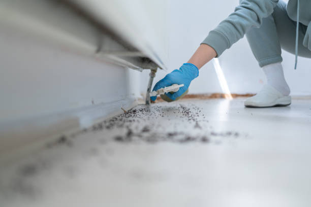 Best Residential Pest Control  in Lake Andes, SD