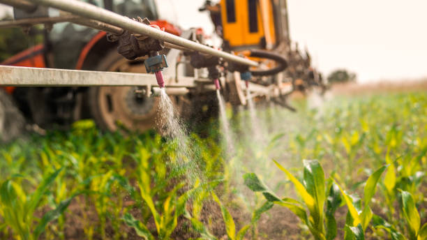 Best Best Pest Control Companies  in Lake Andes, SD
